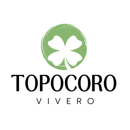 Vivero Topocoro